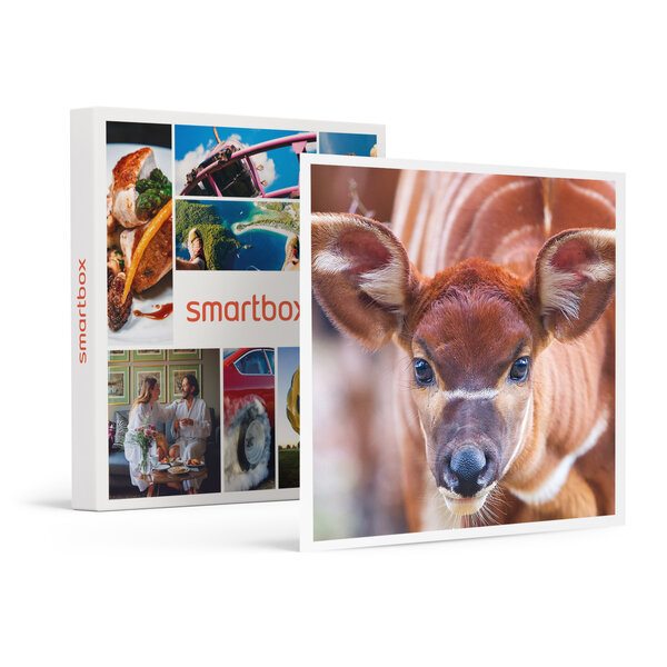 Journée d'expédition : entrée pour 2 adultes et 1 enfant au safari de peaugres près de saint-étienne - smartbox - coffret cadeau sport & aventure
