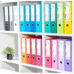 Classeur À Levier Prem'touch Intérieur Et Extérieur En Polypropylène - Dos 80mm - A4 Maxi - Vert Anis - X 10 - Exacompta