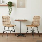 vidaXL Chaise de salle à manger 2 pc Rattan et Acier Naturel