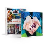 SMARTBOX - Coffret Cadeau Kit activité nature et créative pour enfant avec semis à planter -  Sport & Aventure