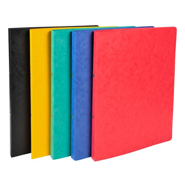 Classeur 2 Anneaux 15mm Carte Lustrée - A4 - Couleurs Assorties - Exacompta