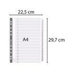 Intercalaires Imprimés À Touches Plastifiées - 31 Touches 1 À 31 - A4 - Blanc - X 10 - Exacompta