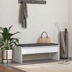 vidaXL Banc d'entrée avec coussin Blanc 103 x 38 x 40 cm