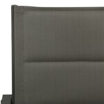 vidaXL Chaises de jardin lot de 2 Textilène acier Gris et anthracite