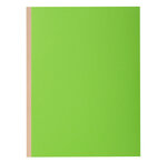 Pt 10 chem.à soufflet ROCK''S 320g vert x 10 EXACOMPTA