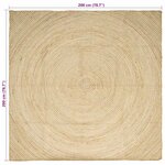 vidaXL Tapis Naturel et Blanc 200 x 200 cm Jute