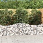 vidaXL Paniers à gabions arqués 2 Pièces 200x50x60/80 cm Fer galvanisé