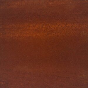 vidaXL Lit surélevé de jardin 100x100x18 5 cm acier corten