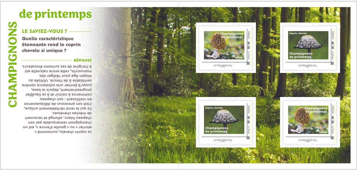Collector 4 timbres - Champignons de printemps - Lettre Verte - La