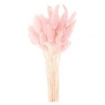 Lagurus séchés rose - 45 cm