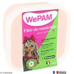 Porcelaine froide à modeler WePam 145 g Chair