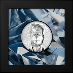 Pièce de monnaie en Argent 20 Dollars g 93.3 (3 oz) Millésime 2023 Silver Burst SILVER BURST