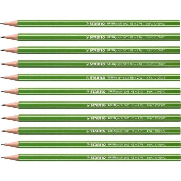 Crayon Graphite GREENGraph tête coupée HB x 12 STABILO