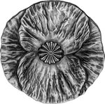 Pièce de monnaie en Argent 20 Dollars g 28.50 Millésime 2020 REMEMBRANCE DAY