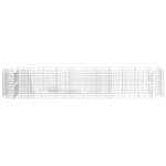 vidaXL Lit surélevé à gabion Fer galvanisé 600x100x100 cm