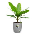 Pot de fleur rond 15 L - 29 5 x 29 5 x hauteur 29 1 cm - Ciment Clair - Plastique