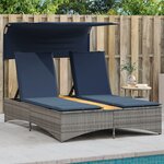 vidaXL Chaise longue double avec auvent et coussins en polyrotin gris