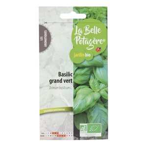 Graines à semer - Basilic grand vert - 0 5 g