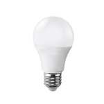 Ampoule e27 led 15w 220v a65 - blanc froid 6000k - 8000k - silamp