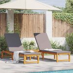 vidaXL Transat 2 Pièces Marron 53 x 202 x 89cm Bois d'acacia massif