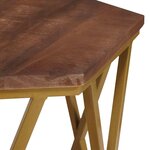 vidaXL Tables basses Marron 55 x 55 x 50 cm Bois de mangue massif
