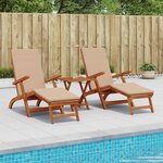 vidaXL Chaise longue inclinable et pliable 2 Pièces 55 x 146 x 91 cm