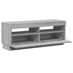 vidaXL Meuble TV avec lumières LED sonoma gris 100x35x40 cm