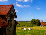 SMARTBOX - Coffret Cadeau Séjour insolite : 4 jours dans un kota en Dordogne avec bain nordique et sauna -  Séjour