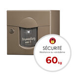 Boîte aux lettres soléa  2 portes taupe 7006 finition brillante