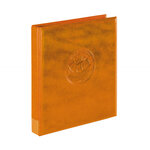 Album Half Penny avec 10 feuilles numismatiques. Couleur - Brun clair