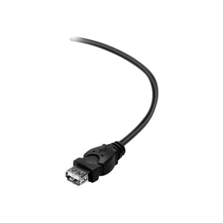 BELKIN Câble USB DSTP USBAM USBAF Extension 1.8M