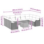 Canapé de jardin 10 pièces avec coussins en poly rotin noir