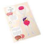 Kit Moulage Educatif Anatomie