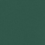 vidaXL Auvent latéral rétractable vert foncé 117x300 cm