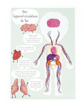 Kit Moulage Educatif Anatomie