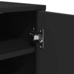 vidaXL Armoires à chaussures 2 Pièces Noir 32x35x70 cm Aggloméré