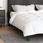 vidaXL Couettes et Duvets Blanc 200 x 220 cm Bas