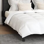 vidaXL Couette avec oreiller 3 Pièces Blanc 240 x 200 cm Bas