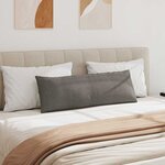 vidaXL Coussins de canapé 2 Pièces Gris clair 120 x 40 cm