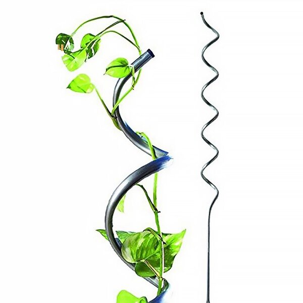 Lot de 10 tuteurs spirales pour tomates - En acier - Hauteur : 180 cm