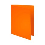 Paquet De 100 Chemises Forever® 170 100  Recyclé - 24x32cm - Couleurs Assorties - X 5 - Exacompta