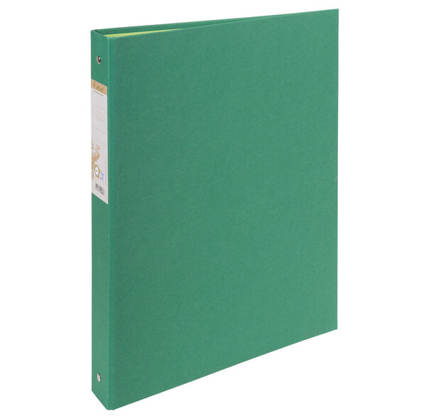 Classeur rembordé papier 2 anneaux 30mm Forever - A4, vert EXACOMPTA
