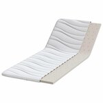 vidaXL Coussins de Matelas Blanc 70 x 200 cm Latex