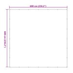 vidaXL Couverture pour plantes Transparent 6 x 6 m PE