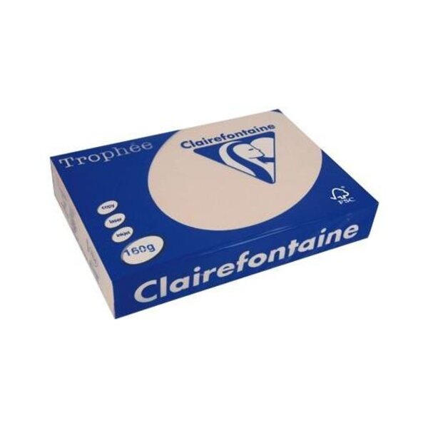 Ramette 250 Feuilles Papier 160g A3 420x297 mm SAUMON TROPHÉE