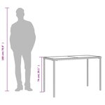 vidaXL Table de jardin dessus en verre marron 115x54x74 cm poly rotin