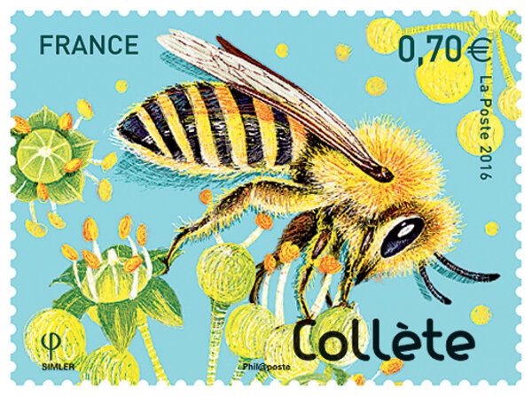 Timbre - Abeilles solitaires - Espèce Collète