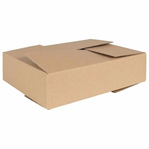 vidaXL Boîte Pliable 50 Pièces Marron 40 x 30 x 10 cm Carton