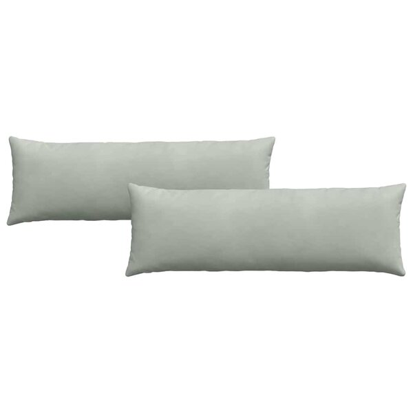 vidaXL Coussins de canapé 2 Pièces Gris clair 120 x 40 cm