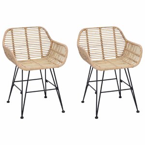 vidaXL Chaise de salle à manger 2 pc Rotin et métal Naturel
